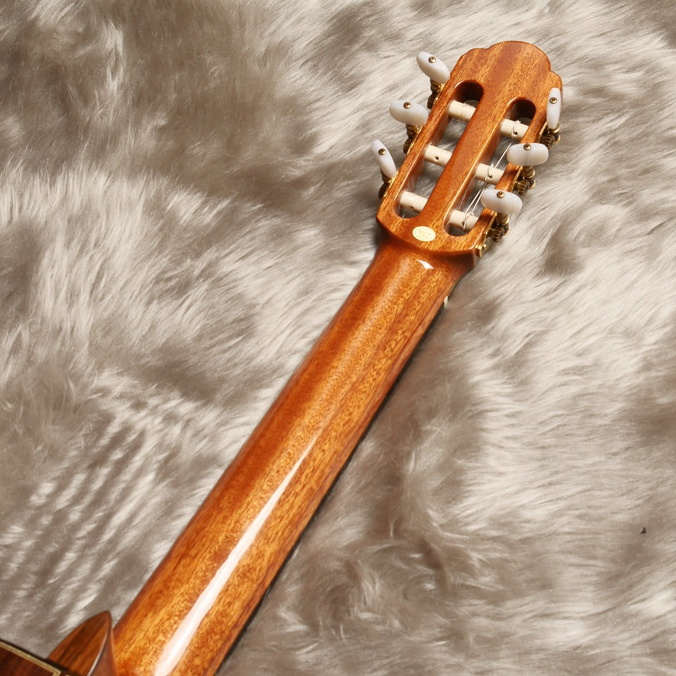 現代ギター | アリア Aria 年 A-100S (松・ローズウッド 650mm