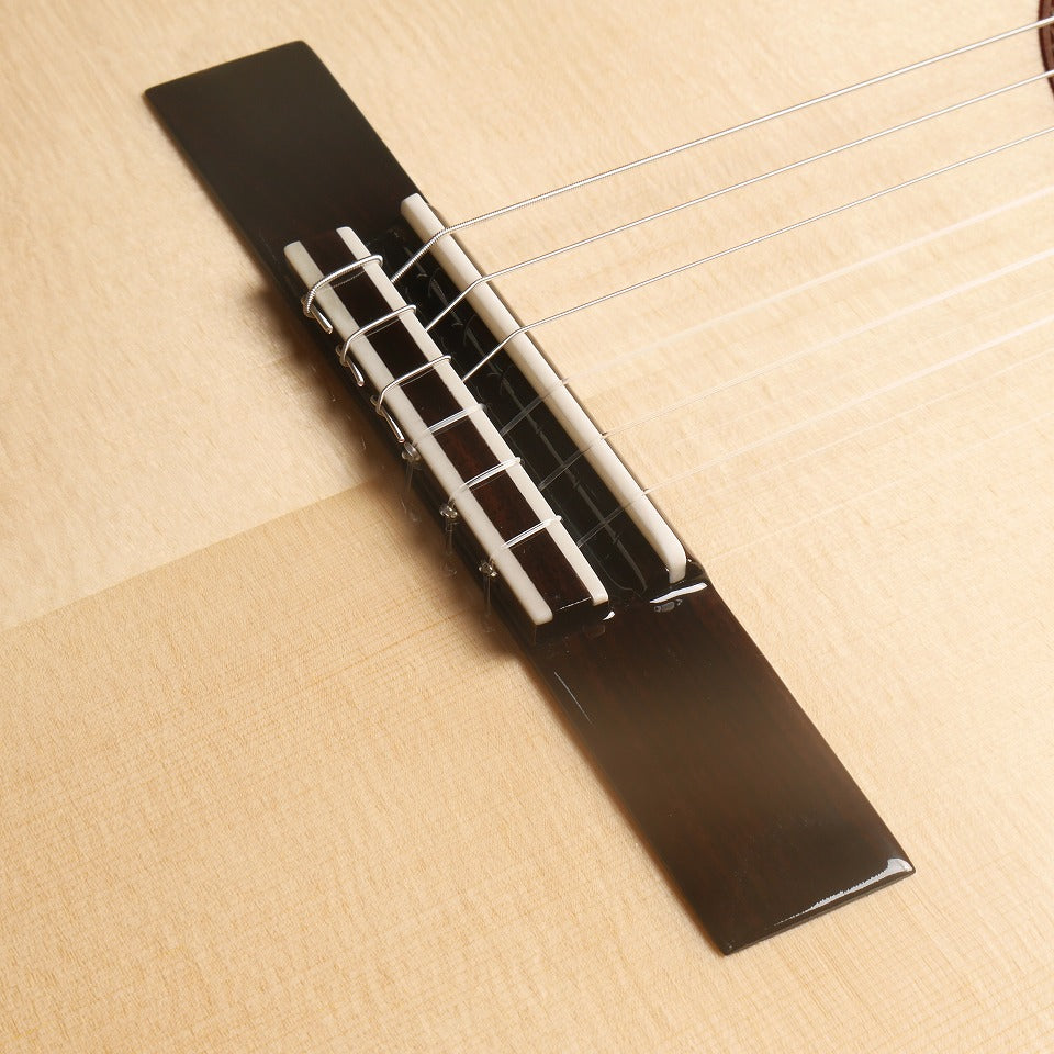 現代ギター | マルティネス Martinez Monaco S (松・ローズウッド