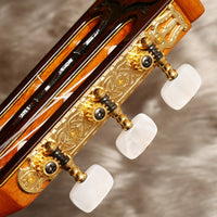 井田英夫 C-30