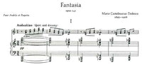 【楽譜】C=テデスコ：幻想曲Op.145（G&Pf）