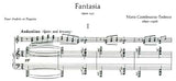 【楽譜】C=テデスコ：幻想曲Op.145（G&Pf）