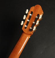 小平 Kodaira AST-100S (松・ローズウッド 650mm)  【新品】 クラシックギター