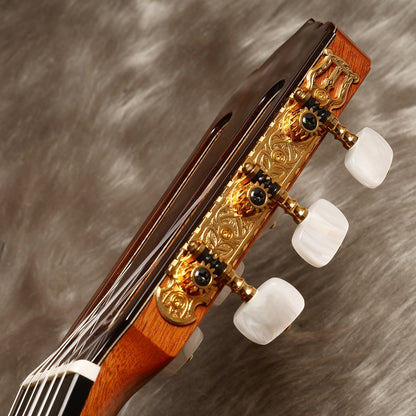 アストリアス・トラディショナルワークス ASTURIAS No.25 (松・ローズウッド 650mm)  【新品】 クラシックギター