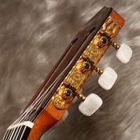 アストリアス・トラディショナルワークス ASTURIAS No.25 (松・ローズウッド 650mm)  【新品】 クラシックギター