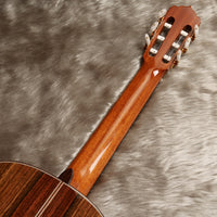 アストリアス・トラディショナルワークス ASTURIAS No.25 (松・ローズウッド 650mm)  【新品】 クラシックギター