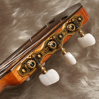 アリア Aria 年 A-100S (松・ローズウッド 650ｍｍ)【新品】 クラシックギター