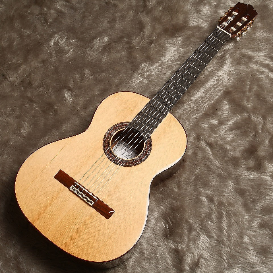 ペレスギター Perez Moderno (松・ローズウッド 650mm) スペイン 【新品】 クラシックギター