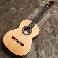 ペレスギター Perez Moderno (松・ローズウッド 650mm) スペイン 【新品】 クラシックギター