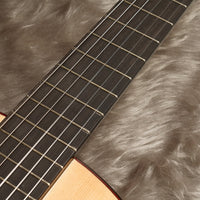 ペレスギター Perez Moderno (松・ローズウッド 650mm) スペイン 【新品】 クラシックギター