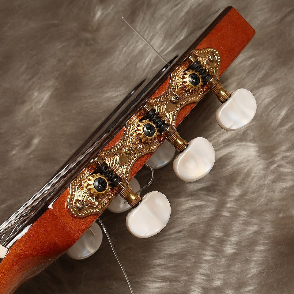 ペレスギター Perez Moderno (松・ローズウッド 650mm) スペイン 【新品】 クラシックギター
