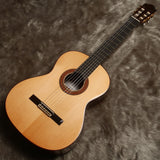 ペレスギター Perez Solido (松・ローズウッド 650mm) スペイン 【新品】 クラシックギター
