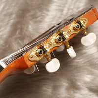ペレスギター Perez Solido (松・ローズウッド 650mm) スペイン 【新品】 クラシックギター