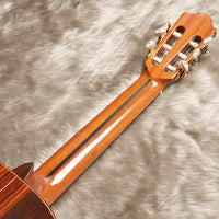 ペレスギター Perez Solido (松・ローズウッド 650mm) スペイン 【新品】 クラシックギター