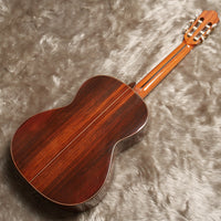 ペレスギター Perez Solido (松・ローズウッド 650mm) スペイン 【新品】 クラシックギター