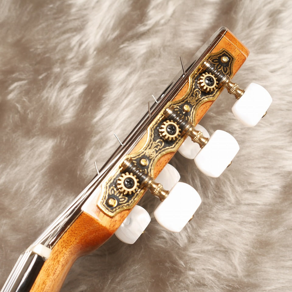 アリアのクラシックギター手工品でがっちりしてます。最終値下げです。 アリア Aria 2020年 A-200S (松・ローズウッド 650mm) 【新品