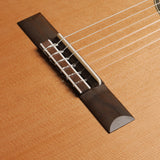 アストリアス ASTURIAS ダブルトップ (杉・インディアン・ローズウッド 650mm)  【新品】 クラシックギター