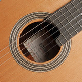 アストリアス ASTURIAS ダブルトップ (杉・インディアン・ローズウッド 650mm)  【新品】 クラシックギター