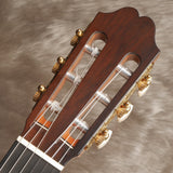 アストリアス ASTURIAS ダブルトップ (杉・インディアン・ローズウッド 650mm)  【新品】 クラシックギター