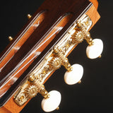 アストリアス ASTURIAS ダブルトップ (杉・インディアン・ローズウッド 650mm)  【新品】 クラシックギター