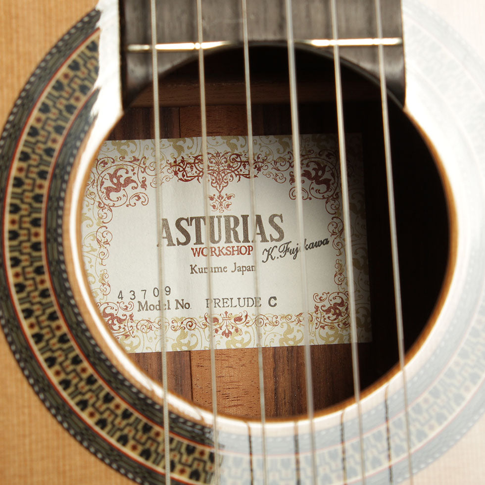 アストリアス ASTURIAS プレリュードC (杉・ローズウッド 650mm