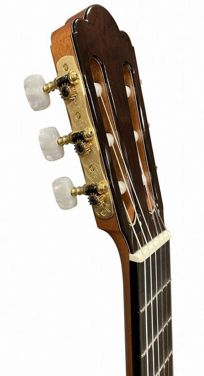 アストリアス ASTURIAS カスタムC (杉・ローズウッド 650mm)  【新品】 クラシックギター