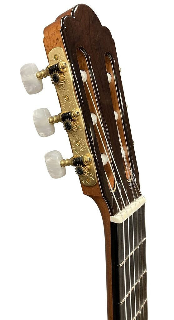 アストリアス ASTURIAS カスタムC (杉・ローズウッド 630mm) 【新品 