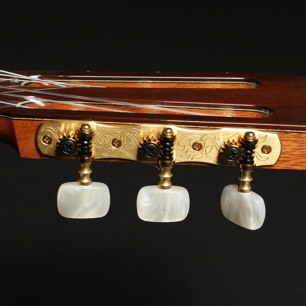 アストリアス ASTURIAS カスタムC (杉・ローズウッド 630mm) 【新品