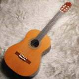 アントニオ・サンチェス Antonio Sanchez 2021年 Professor1 (杉・ローズウッド 640mm) スペイン 【中古】 クラシックギター