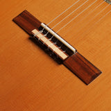 アントニオ・サンチェス Antonio Sanchez 2021年 Professor1 (杉・ローズウッド 640mm) スペイン 【中古】 クラシックギター