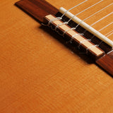 アントニオ・サンチェス Antonio Sanchez 2021年 Professor1 (杉・ローズウッド 640mm) スペイン 【中古】 クラシックギター