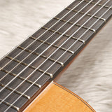 アントニオ・サンチェス Antonio Sanchez 2021年 Professor1 (杉・ローズウッド 640mm) スペイン 【中古】 クラシックギター