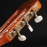 アントニオ・サンチェス Antonio Sanchez 2021年 Professor1 (杉・ローズウッド 640mm) スペイン 【中古】 クラシックギター