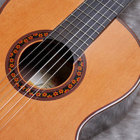 ホセ・ラミレス Jose Ramirez 2023年 (杉・ローズウッド 650mm) スペイン 【中古】 クラシックギター