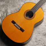 ファン・エルナンデス Juan Hernandez 2015年 Professor (松・ローズウッド 650mm) スペイン 【中古】 クラシックギター