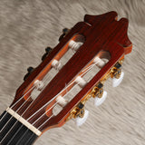 ファン・エルナンデス Juan Hernandez 2015年 Professor (松・ローズウッド 650mm) スペイン 【中古】 クラシックギター