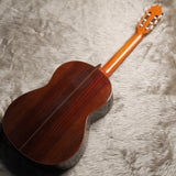 ファン・エルナンデス Juan Hernandez 2015年 Professor (松・ローズウッド 650mm) スペイン 【中古】 クラシックギター