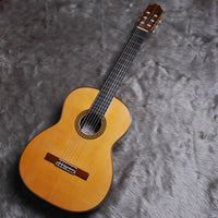 桜井正毅　Special　2020年　【USED】