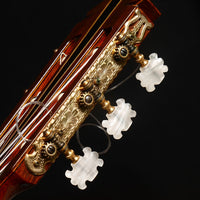 YAMAHA GC-10