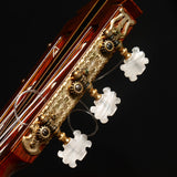 YAMAHA GC-10
