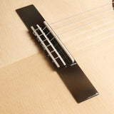 マルティネス Martinez Monaco S (松・ローズウッド 650mm) 【新品】 クラシックギター