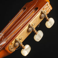 ダニエル・フレドリッシュ Daniel Friederich 1971年 No,290 (松・中南米ローズウッド 650mm) フランス 【中古】 クラシックギター