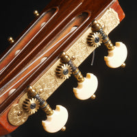 ダニエル・フレドリッシュ Daniel Friederich 1969年 No,253 (松・ローズウッド 650mm) フランス 【中古】 クラシックギター