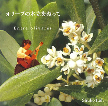 【CD】伊東修子〈オリーブの木立をぬって〉