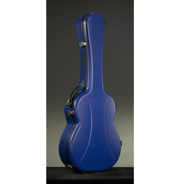 現代ギター | ケース：ヴィセスナット