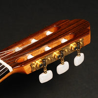 小平 Kodaira AST85 （杉・ローズウッド  650mm） 【新品】 クラシックギター