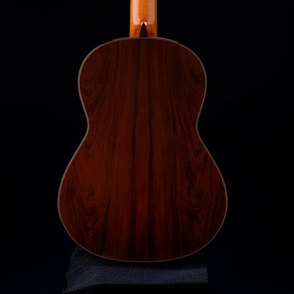 ビセンテ・カリージョ Vicente Carrillo エレンシア (松・マダガスカル・ローズウッド 650mm) スペイン 【新品】 クラシックギター 【お取り寄せ商品】