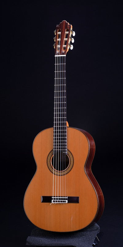 ビセンテ・カリージョ Vicente Carrillo エスタンダール (杉・インディアン・ローズウッド 650mm) スペイン 【新品】 クラシックギター 【お取り寄せ商品】