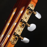 エステベ ESTEVE 11Cdr (杉・インディアン・ローズウッド 650mm) スペイン 【新品】 クラシックギター