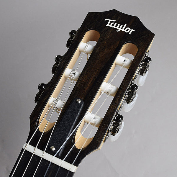 現代ギター | テイラー Taylor LTD EG Academy 12e-N (松
