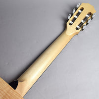 テイラー Taylor  LTD EG Academy 12e-N (松・メイプル 648mm) アメリカ 【新品】 クラシックギター